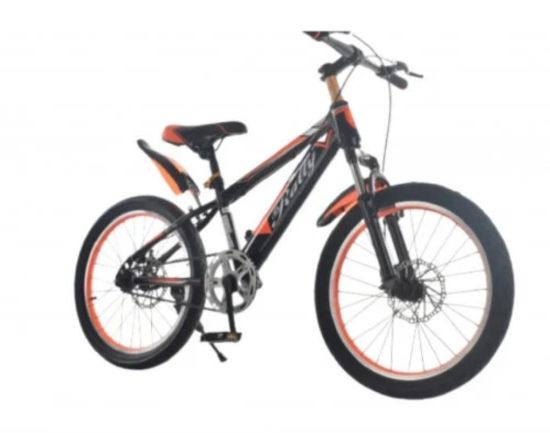 صورة دراجة مقاس 20